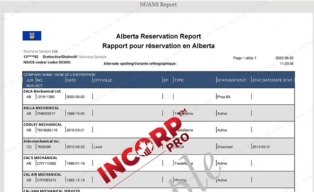 The Nuans Report