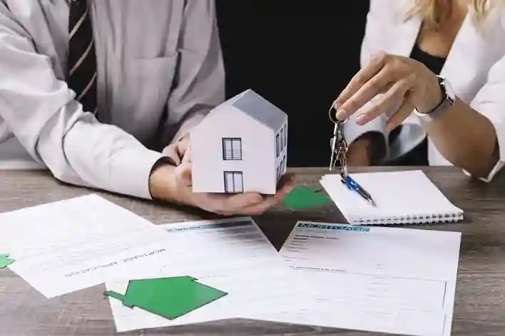 What is Wills & Estate Law